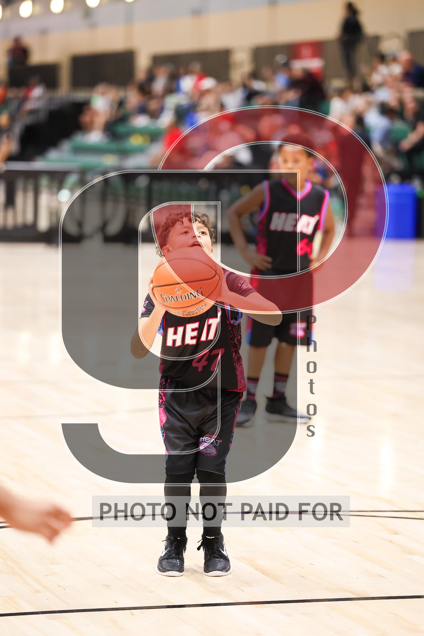 Court 12 (9U3rd D2) - FL - Hoop Dreams Elite 3rd vs FL - SFHE 2034