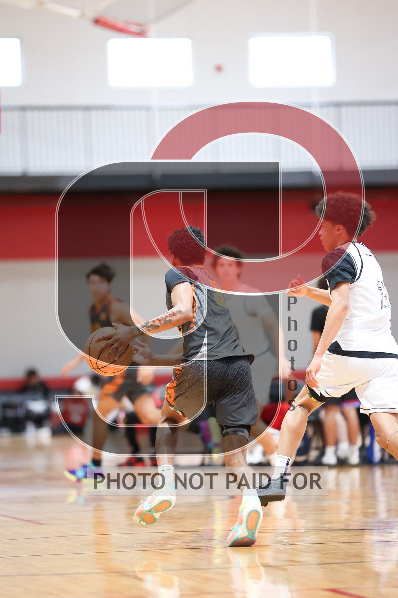 Court 2 (Vars) - 1 Body 2027 Black vs Florida Pythons