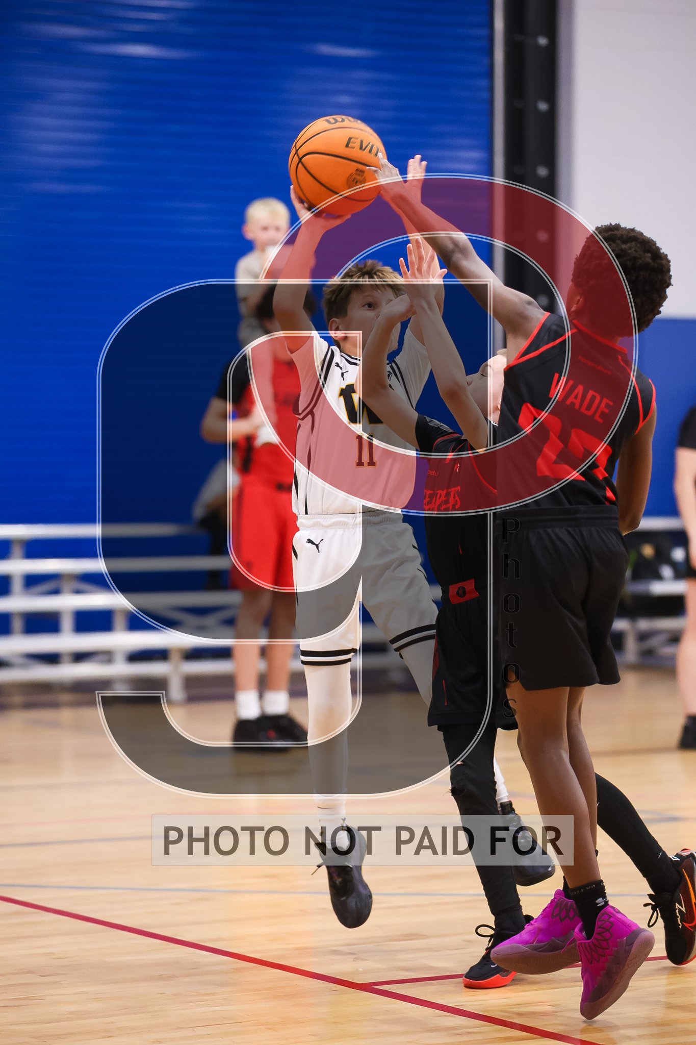 Court 1 (3rd) - Florida Reapers vs Wellington Wolves