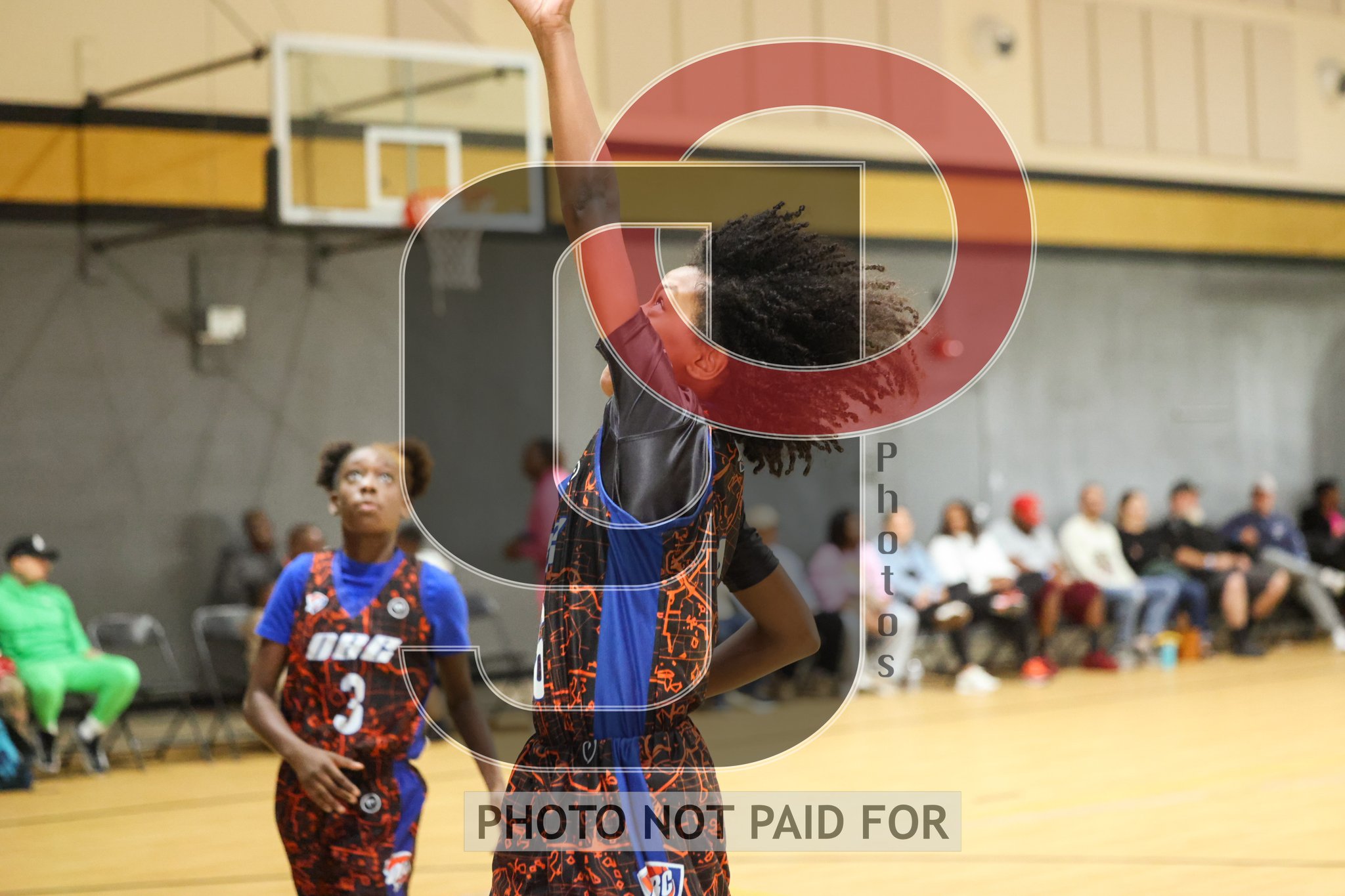 GBWF Fall League Championships 2025
